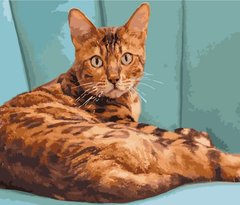 Набор для росписи по номерам Леопардовая кошка Strateg размером 40х50 см (GS252)