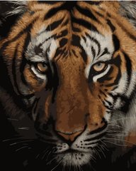 Набор для росписи по номерам Взгляд хищника Strateg размером 40х50 см (GS028)