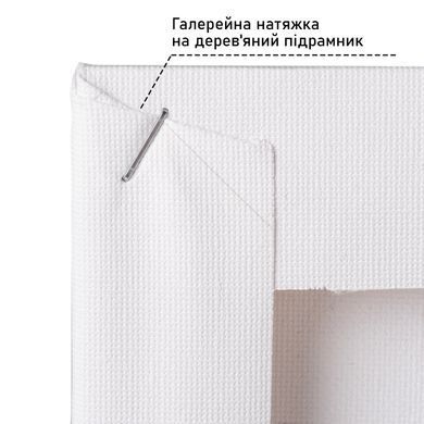 Холст на подрамнике SANTI 20*40 см